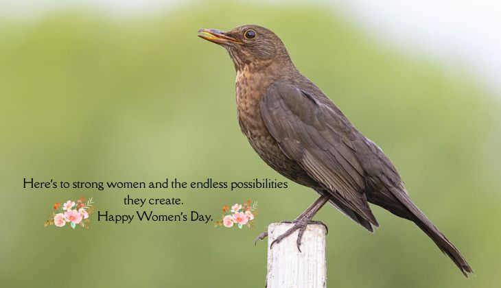 Here’s to strong women and the endless possibilities they create. 