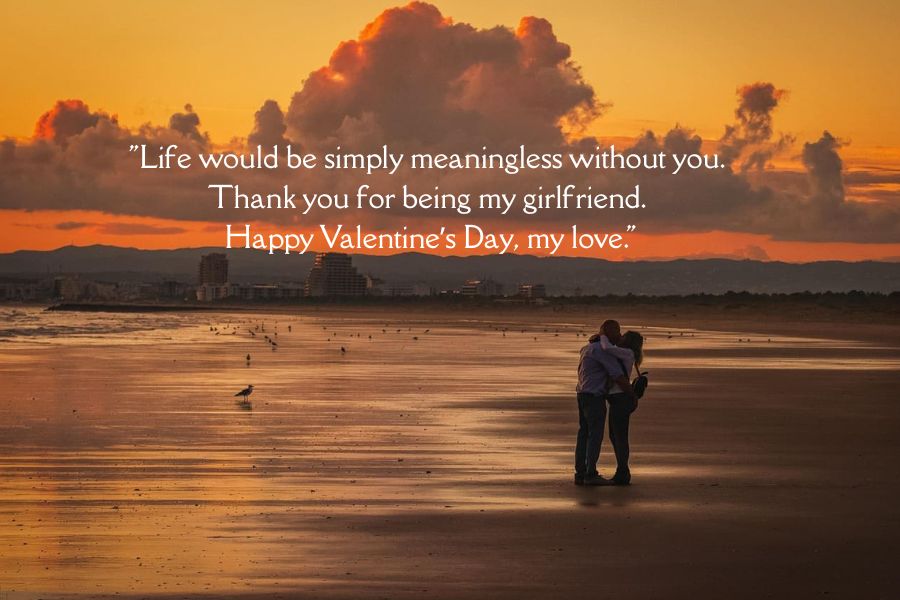 "Life would be simply meaningless without you. 
Thank you for being my girlfriend. 
Happy Valentine’s Day, my love."
