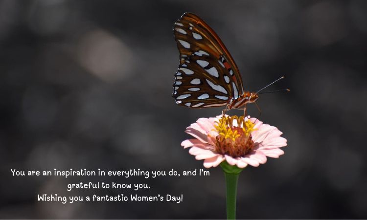 You are an inspiration in everything you do, and I’m grateful to know you. Wishing you a fantastic Women’s Day!