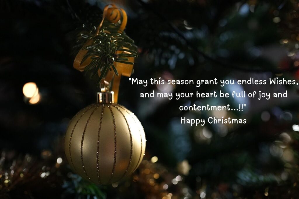 "May this season grant you endless wishes, and may your heart be full of joy and contentment...!!" Happy Christmas Wishes
