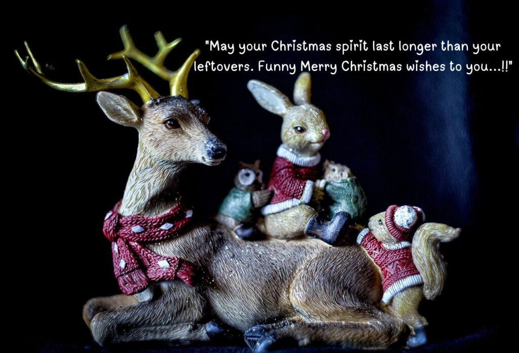 "May your Christmas spirit last longer than your leftovers. Funny Merry Christmas wishes to you...!!"